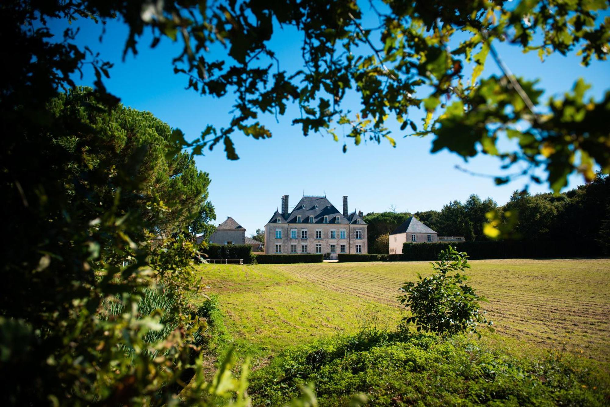 Domaine De La Briouse Bed and Breakfast Sanxay Eksteriør billede