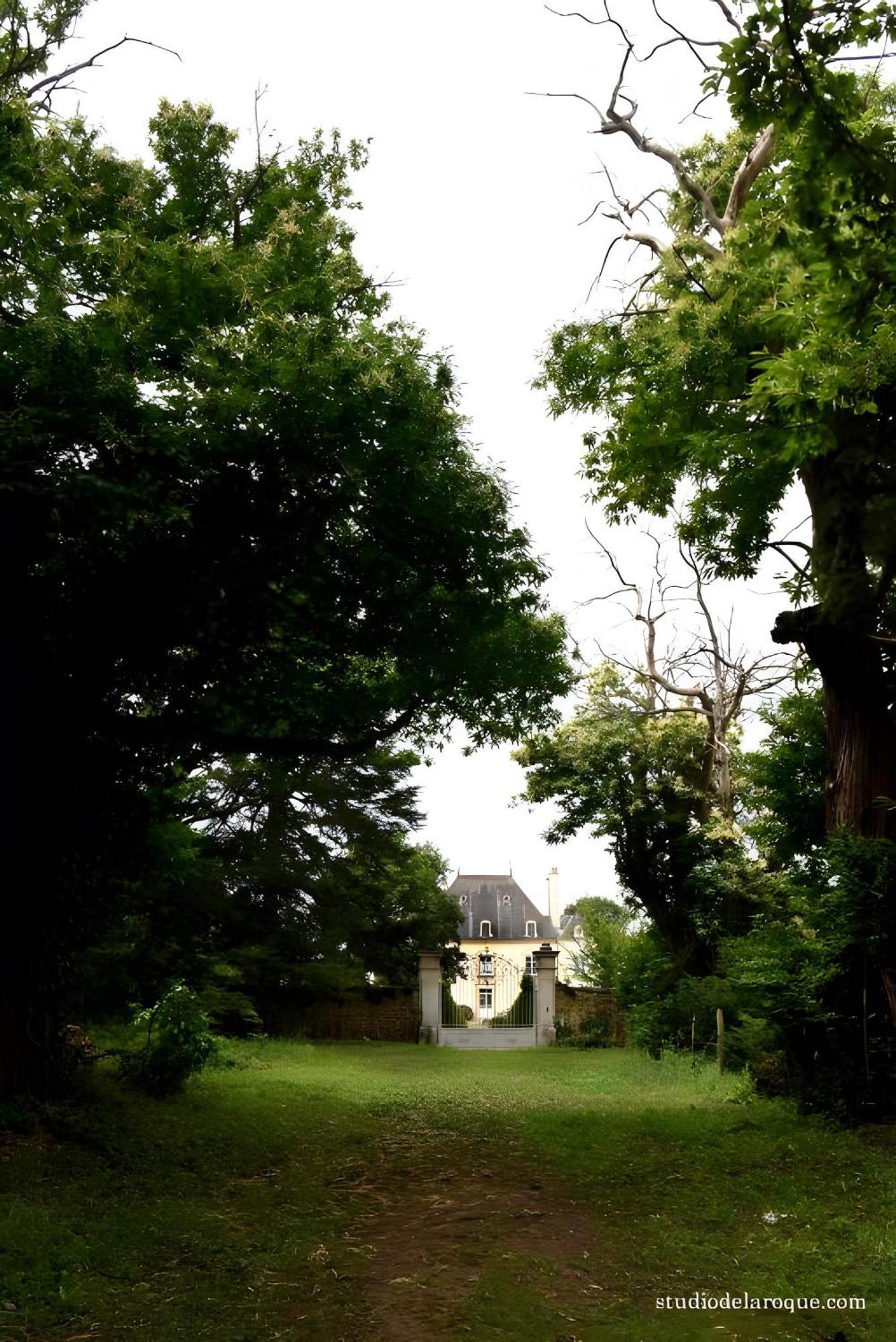 Domaine De La Briouse Bed and Breakfast Sanxay Eksteriør billede