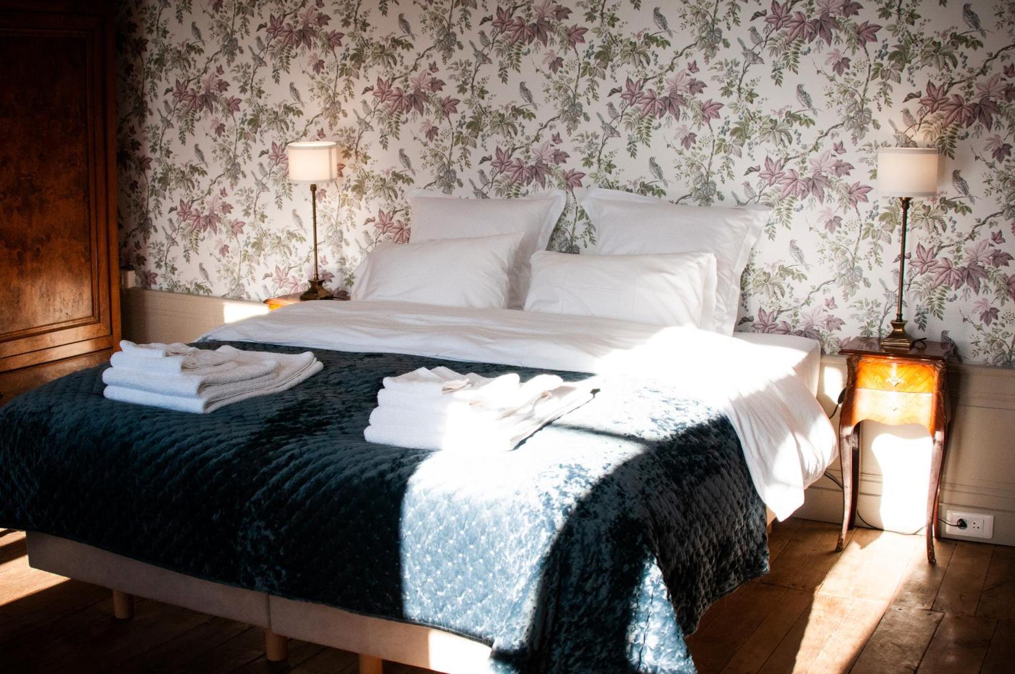 Domaine De La Briouse Bed and Breakfast Sanxay Eksteriør billede