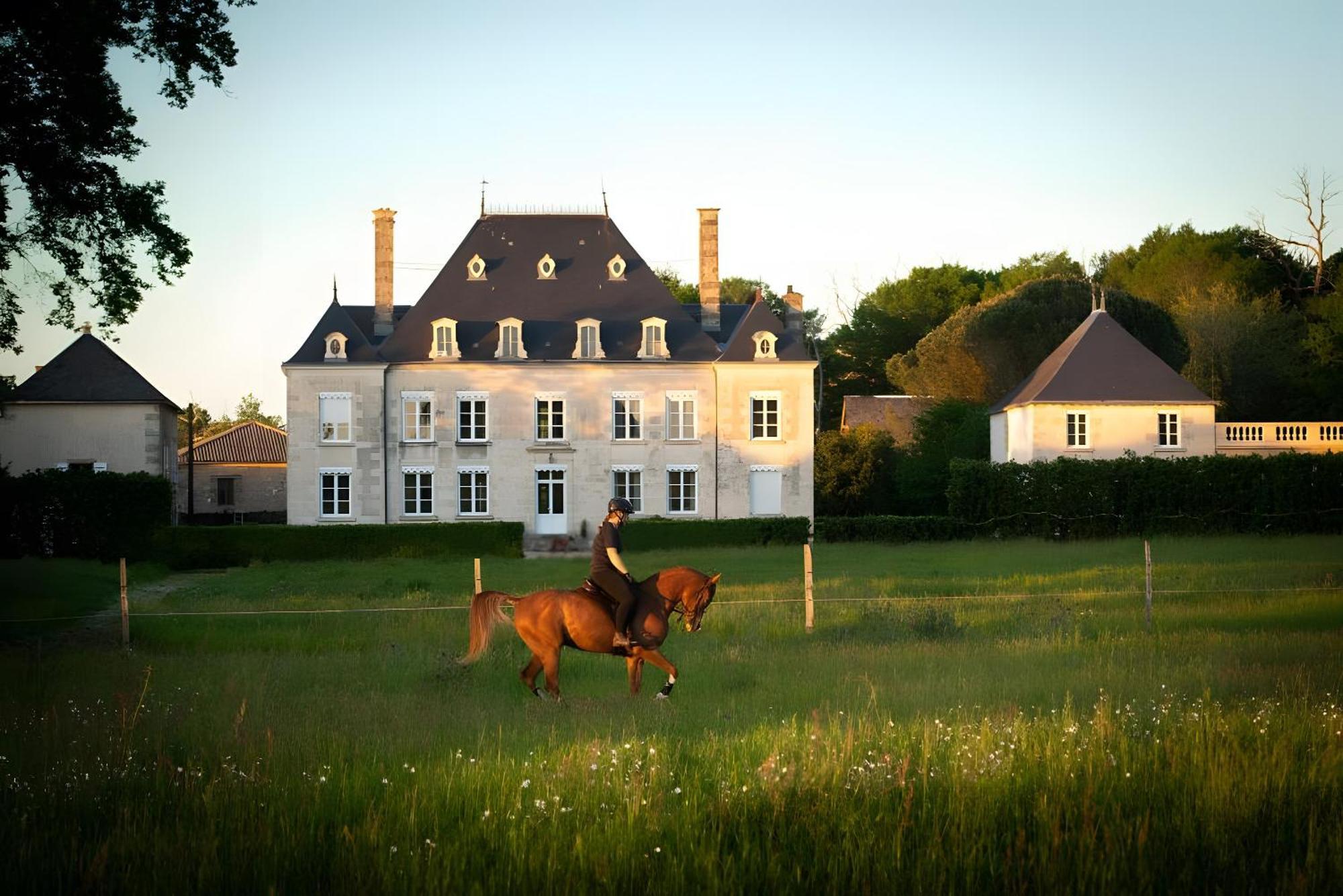 Domaine De La Briouse Bed and Breakfast Sanxay Eksteriør billede